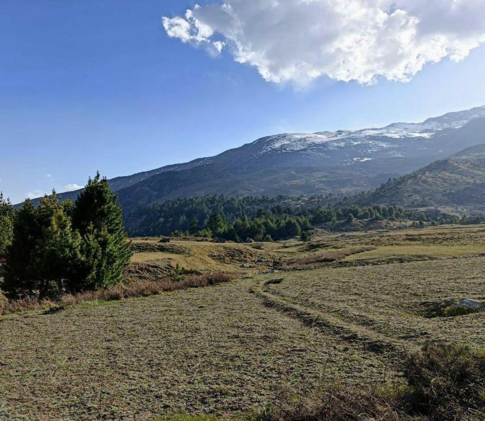 Fayul Retreat - India Highest Glamp And Ecoluxury Stay Kalpa Dış mekan fotoğraf